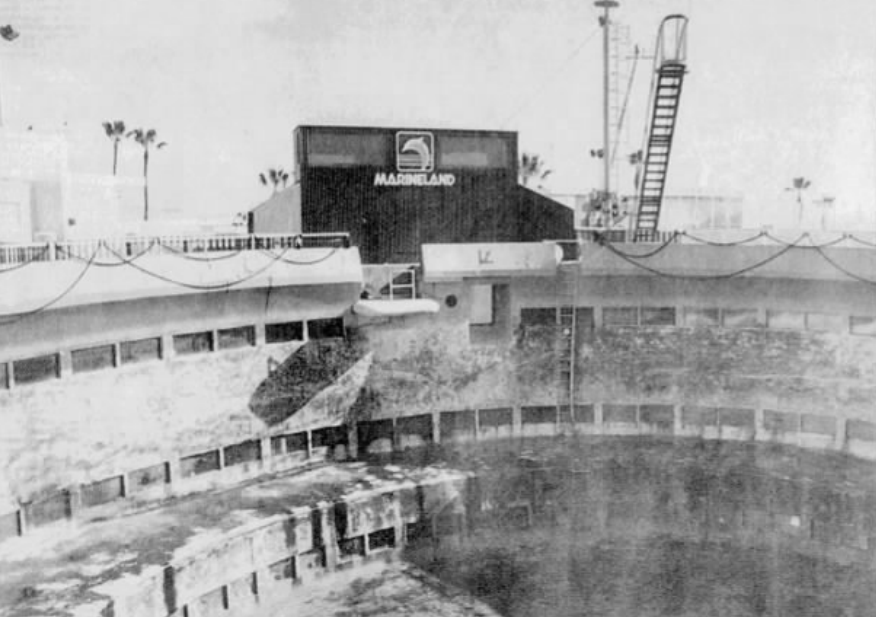 Pt. 9: Thieves in the&nbsp;Night